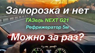 В Челябинск и обратно через Самару ГАЗель NEXT G2,5 Рефрижератор 5м