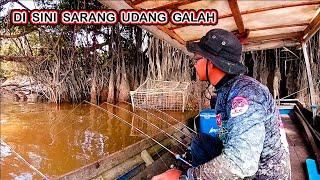 LIHATTT‼️ Awalanya Ragu Mancing Saat Keruh, TAPI Hasilnya Dapat Babon