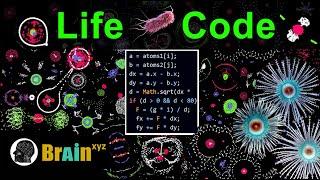 Create Artificial Life From Simple Rules - Particle Life #simulation  #programming #javascript