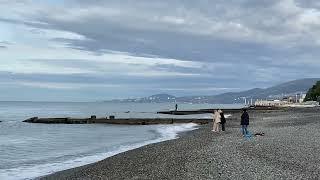 15.11.2023. Погода в Сочи в ноябре. Смотри на Чёрное море каждый день.