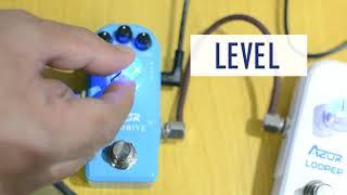 Azor AP-308 Overdrive and AP-313 Looper