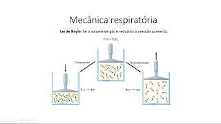 Aprendendo fisiologia: Mecânica respiratória (por Guilherme de Oliveira Branco)