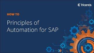Principles of Automation for SAP