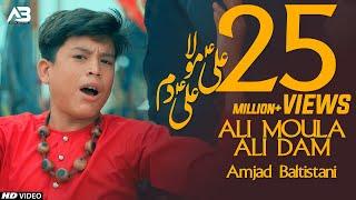 ALI MOLA ALI DAM DAM | Jaanam Fida E Haideri | AMJAD BALTISTANI | Official Video | TNA RECORDS