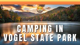 Vogel State Park Campground Tour - Site #44 | Creek Side Camping in Georgia