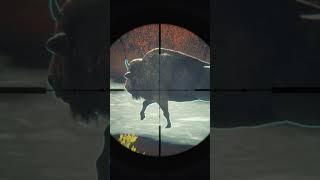 .300 ar vs bison | the hunter call of the wild #huntercallofthewild