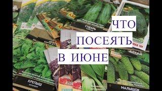 Что Посеять В Июне. Сорта Укропа, Сорта Огурцов и многое другое.