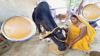 गाय, भैंस का दूध बढ़ाने का घरेलू नुस्खा | How to Desi formula increase for milk of cow, Buffalo