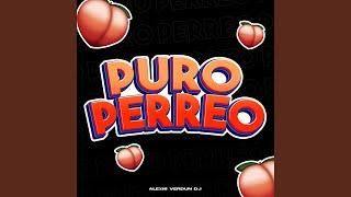 Puro Perreo (Enganchado)