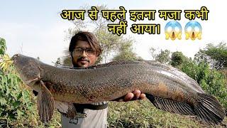 मरल मछलियों का घातक हमला।  Deadly attack of snakehead fishes.|| Biggest Snakehead Fishes