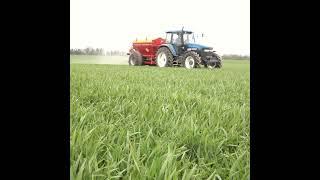 Winter Crop Agronomy