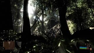 Crysis Ultra Graphics Photoreal Directx 10 max Setting