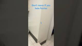 Don’t move if you hate furries