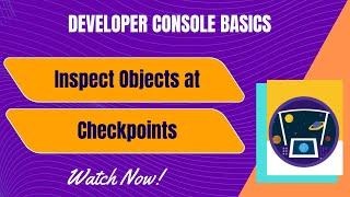Salesforce Trailhead - Inspect Objects at Checkpoints