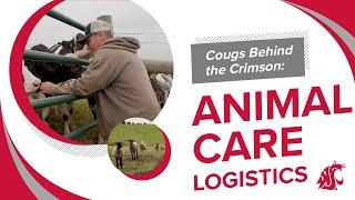Cougs Behind the Crimson: Animal Care Logistics Team