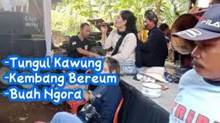 Lagu Buhunan Tungul Kawung || Kembang Beureum