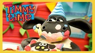 Timmy's Birthday  | Timmy Time