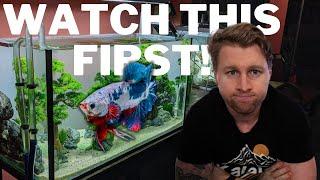 Watch this BEFORE buying a Betta Fish