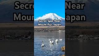 A Japanese grandpa showed me this hidden gem in the Mount Fuji area! #mountfuji #japantravel