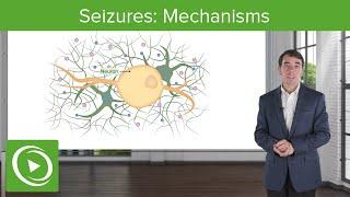 Seizures: Mechanisms | Clinical Neurology