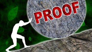 What is the burden of proof?