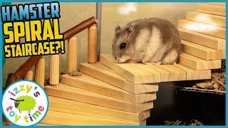 HAMSTER UPGRADES! Izzy's Toy Time makes some wood toy MEGA UPGRADES! Fun Toys