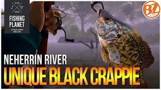 Unique Black Crappie of Neherrin River! | (Fishing Planet: Test Your Spot Series!)