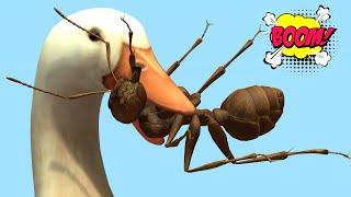 Duck Cartoon Vs Giant Ant, Cartoon Animations, 4K