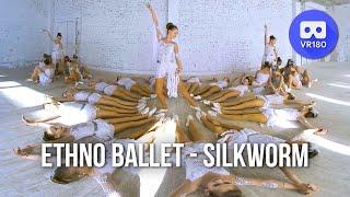 VR180 3D.  Ethno Ballet 17 - Silkworm