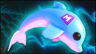 MEGA Dolphin in Adopt Mi 2021!  TOP TRADES in Adopt Me Roblox adopt mi ​​trade just nikita