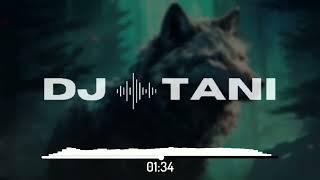 Lawstylez, dj tani & Tommy Tran - Wolves [Official Visualizer]