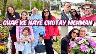 Ghar Me Naya Izafa ️ |  Naye Chotay Mehman  | Phoolon ki Shopping | Secret Talent Reveled!