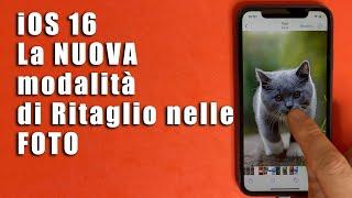 Come Ritagliare dallo Sfondo e Spostare un Soggetto dalle Foto su iOS 16 dell' iPhone/iPad