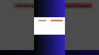 LIVER GLYCOGEN vs  MUSCLE GLYCOGEN! #liver #glucose #blood #glycogen #physiology #muscle #cell