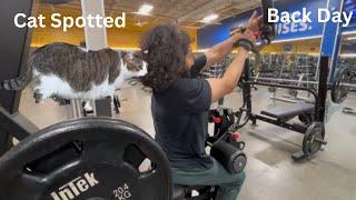 How my lean bulk is going + Cat Spotted