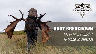 Hunt Breakdown: How We Killed 4 Moose in Alaska — The Experience Project [EXP013]