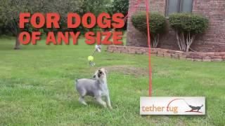 The Best Dog Toy Ever! Tether Tug Outdoor Dog Toy