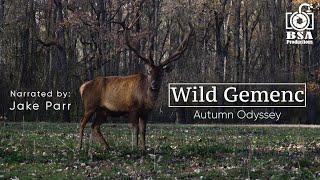 Wild Gemenc: Autumn Odyssey (2023) - A Wildlife Documentary