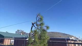 AcreMaker Tree - Tree removal zipline