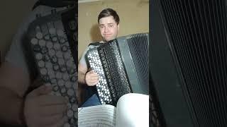 круто играет на баяне #accordion