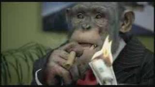 CareerBuilder.com: Monkey Business (Up - Down Profitability)