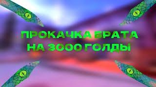 Нож за 0.03?Прокачка брата на 3000 голды️