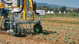 Minitractor el Furbo sarchiatura su cavoli, cavolfiori, broccoli, weeding machine for cauliflower,