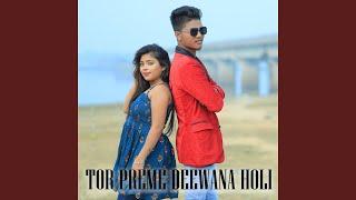 Tor Preme Deewana Holi