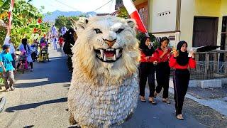 ASMR Lion dance and Drumband parade in villages | kirab can macanan singo raung di tegalampel