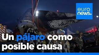 El accidente aéreo en Corea del Sur pudo deberse al impacto de un pájaro, según un funcionario