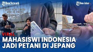 VIRAL, Cerita Mahasiswi Indonesia Kerja Paruh Waktu Jadi Petani di Jepang, Gaji Rp 1,3 Juta per Hari