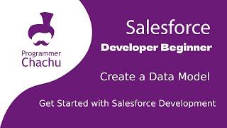 Create a Data Model Using Clicks Salesforce developer beginner in English