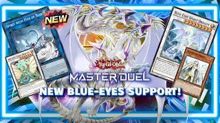 NEW BLUE EYES SUPPORT IS CRAZY! BLUE EYES WHITE DRAGON COMPETITIVE? | YUGIOH! MASTER DUEL