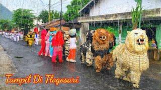 Can macanan singo raung cilik Di undang Acara KHITANAN Tampil Hujan Hujan Di TLOGOSARI